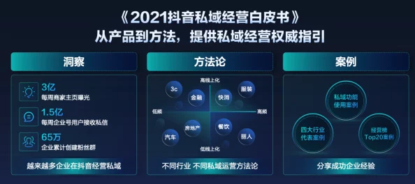 绝区零11号音擎：全面解析高效驱动配队终极攻略