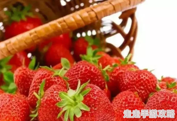 草莓视频污免费，内容丰富多样，观看体验非常不错，值得一试！