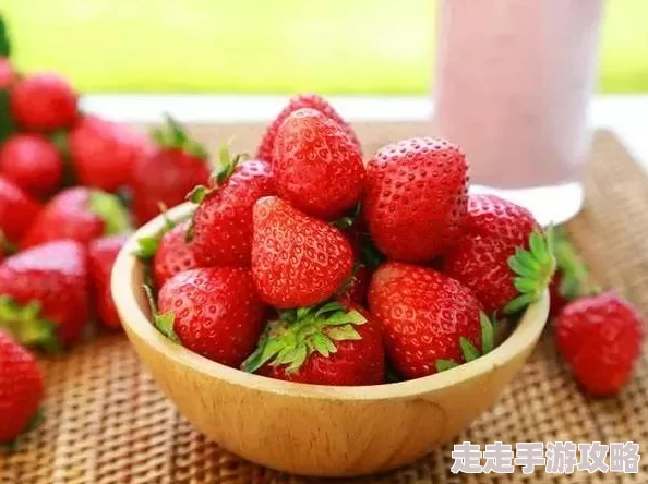 草莓视频污免费，内容丰富多样，观看体验非常不错，值得一试！